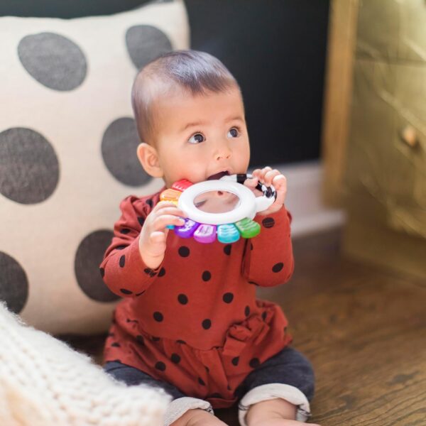 Baby Einstein Outstanding Opus The Octopus Sensory Rattle & Teether Multi-Use Toy, BPA Free & Chillable, 3 Months & up, Multicolored - Image 6