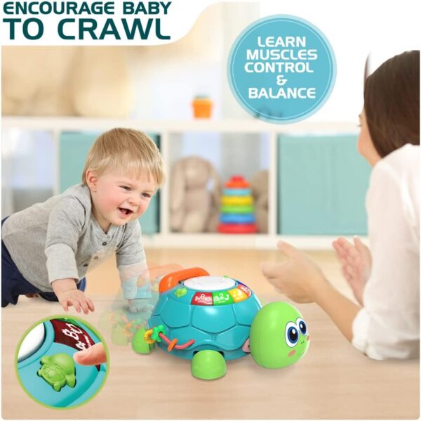 Baby Toys 6 to 12 Months, Musical Turtle Crawling Baby Toys for 12-18 Months, Early Learning Educational Toy with Light & Sound, Birthday Toy for Infant Toddler Boy Girl 7 8 9 10 11 month 1-2 Year Old - Image 7